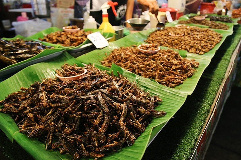 Experience Phuket at the original Phuket Weekend Market Simba Sea Trips